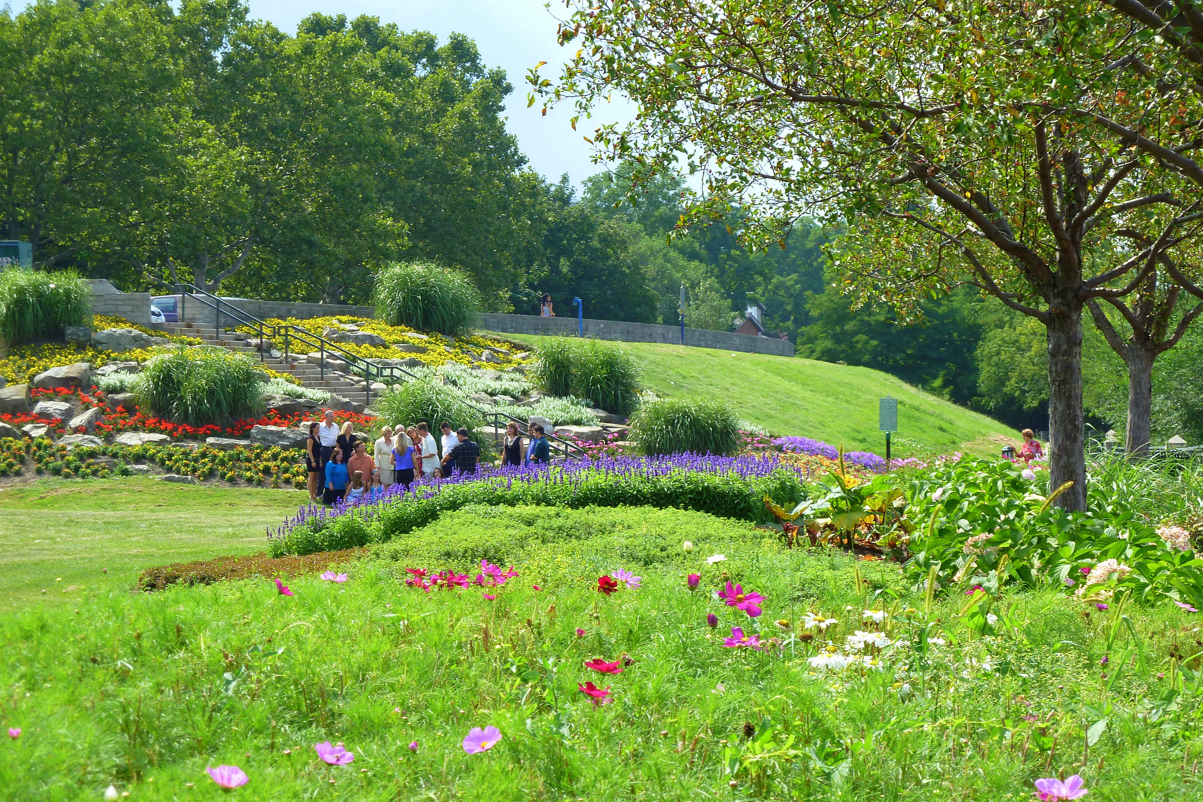 Hill with a pathway and garden with variety of flowers.